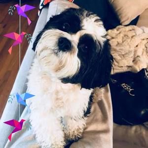 Meet your Posher, Deann